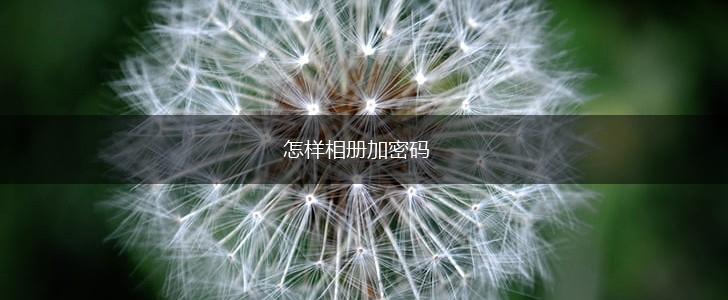 怎样相册加密码,第1张