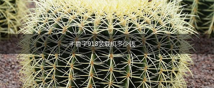 二手鲁宇918装载机多少钱,第1张