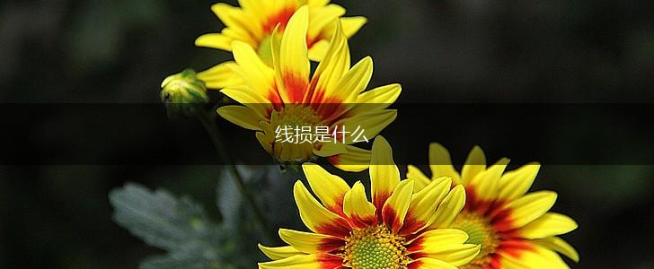 线损是什么,第1张