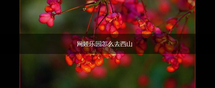 网娃乐园怎么去西山,第1张
