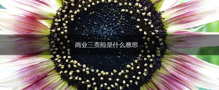 商业三责险是什么意思,第1张