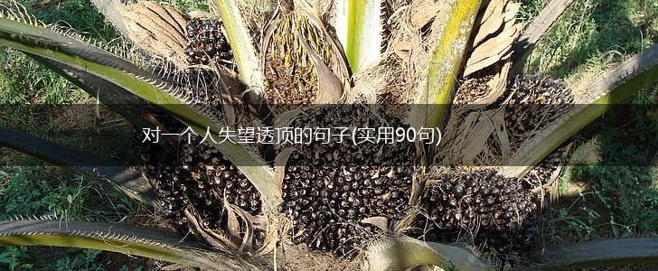 对一个人失望透顶的句子(实用90句),第1张