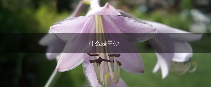 什么是旱砂,第1张