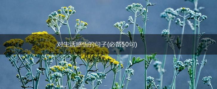 对生活感悟的句子(必备50句),第1张