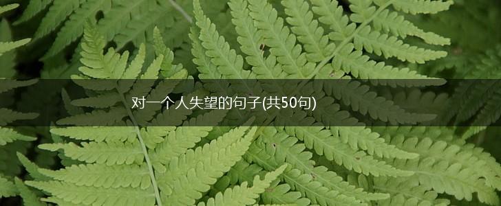 对一个人失望的句子(共50句),第1张