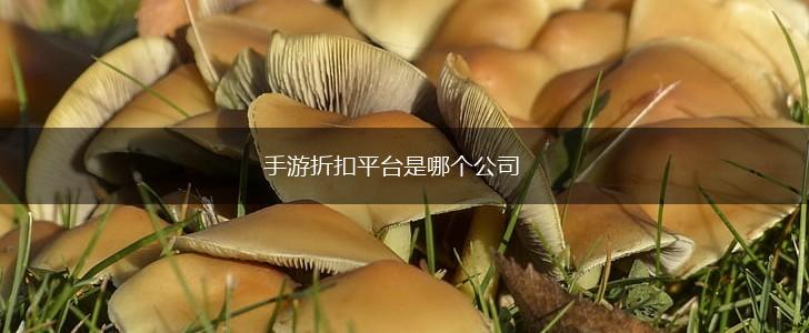 手游折扣平台是哪个公司,第1张