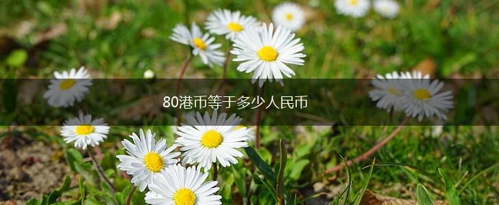 80港币等于多少人民币,第1张