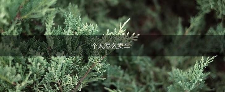 个人怎么卖车,第1张