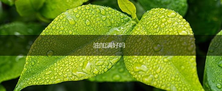 油加满好吗,第1张