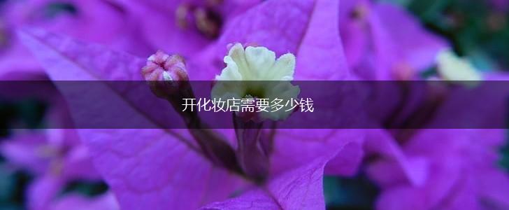 开化妆店需要多少钱,第1张
