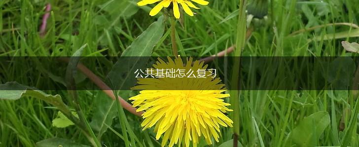 公共基础怎么复习,第1张