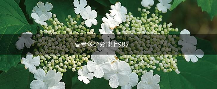 高考多少分能上985,第1张