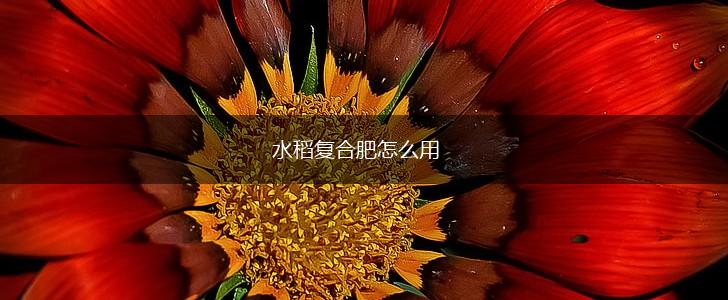 水稻复合肥怎么用,第1张