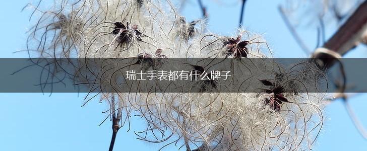 瑞士手表都有什么牌子,第1张