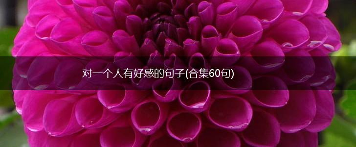对一个人有好感的句子(合集60句),第1张