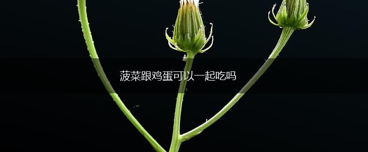 菠菜跟鸡蛋可以一起吃吗,第1张