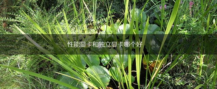 性能显卡和独立显卡哪个好,第1张