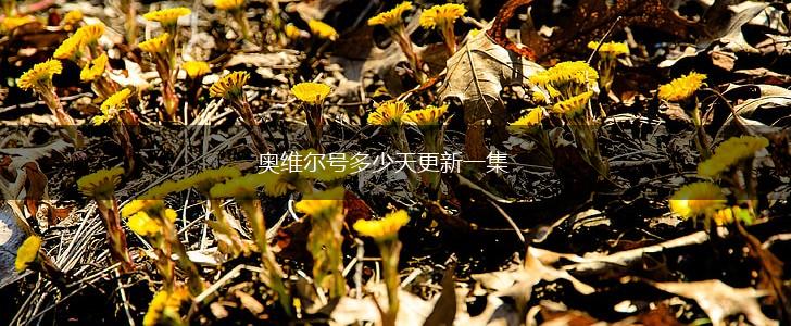 奥维尔号多少天更新一集,第1张