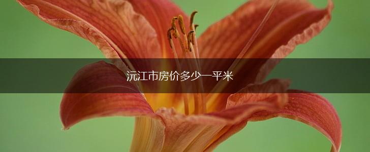 沅江市房价多少一平米,第1张