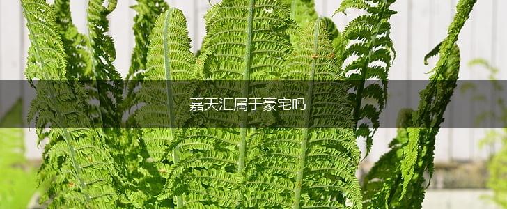 嘉天汇属于豪宅吗,第1张