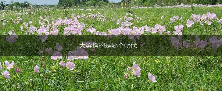 大梁指的是哪个朝代,第1张