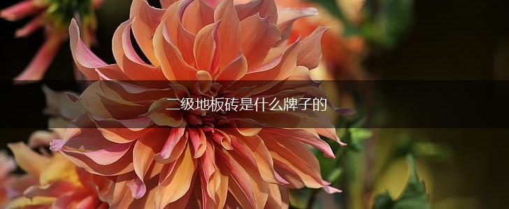 二级地板砖是什么牌子的,第1张