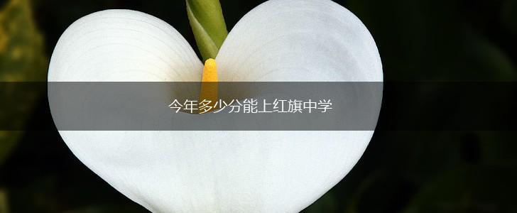 今年多少分能上红旗中学,第1张