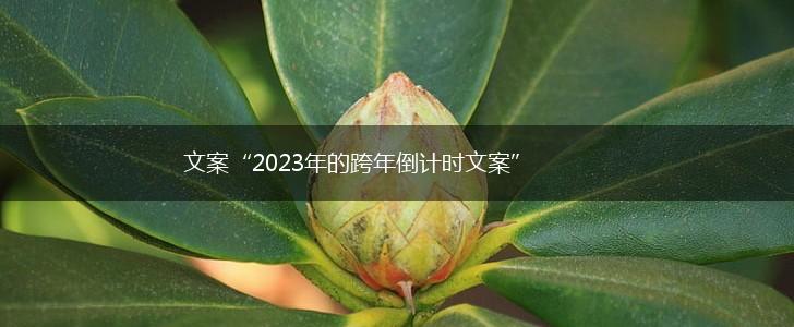 文案“2023年的跨年倒计时文案”,第1张