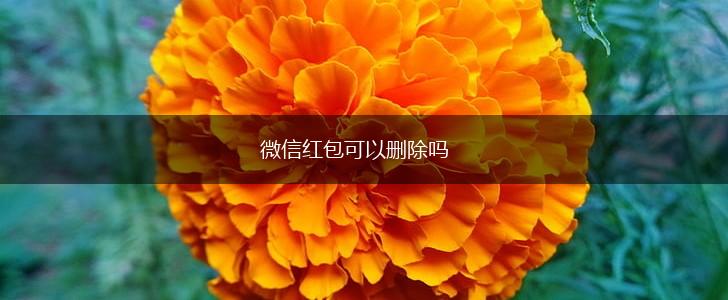 微信红包可以删除吗,第1张