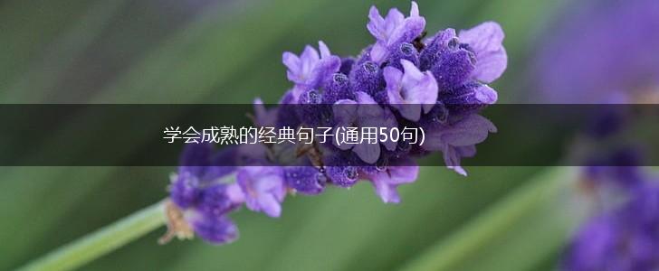 学会成熟的经典句子(通用50句),第1张