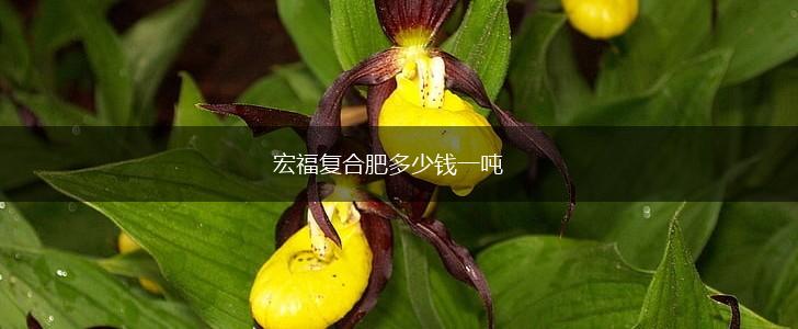 宏福复合肥多少钱一吨,第1张