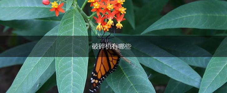 破碎机有哪些,第1张