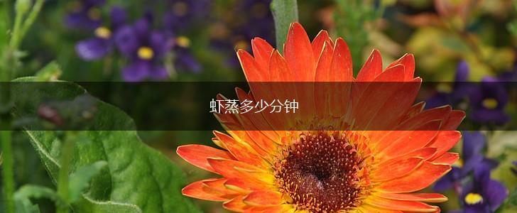 虾蒸多少分钟,第1张