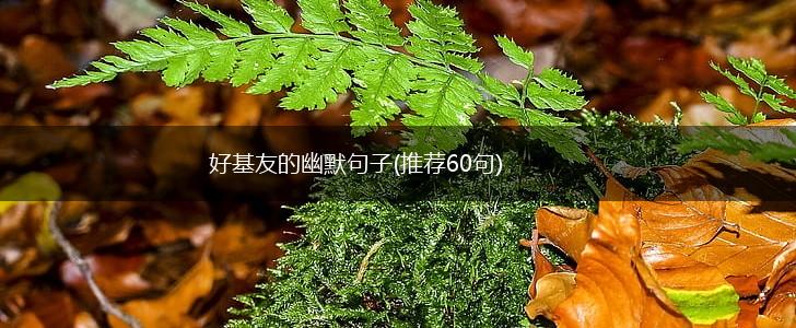 好基友的幽默句子(推荐60句),第1张