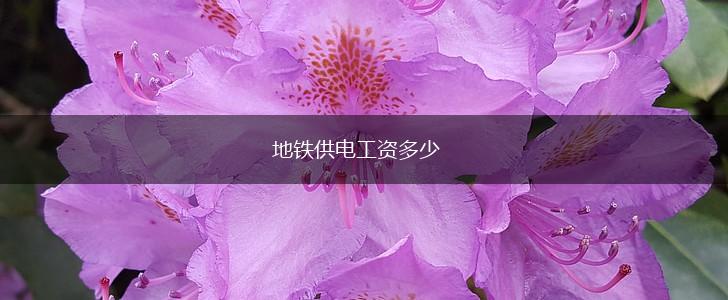 地铁供电工资多少,第1张