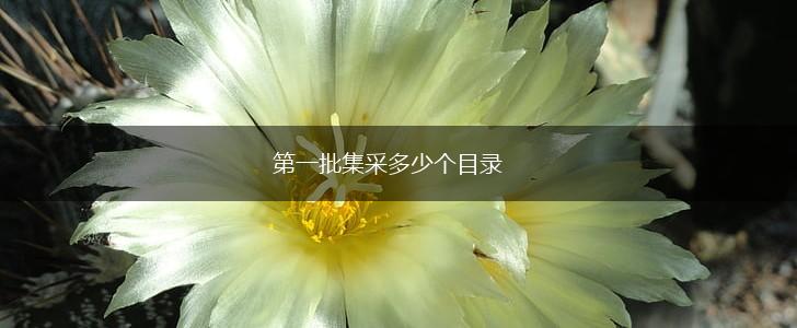 第一批集采多少个目录,第1张