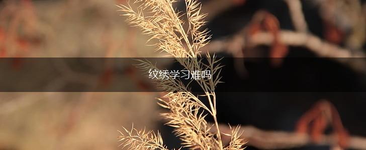 纹绣学习难吗,第1张