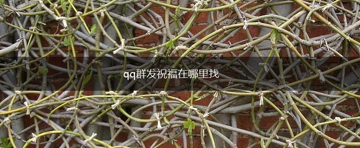qq群发祝福在哪里找,第1张