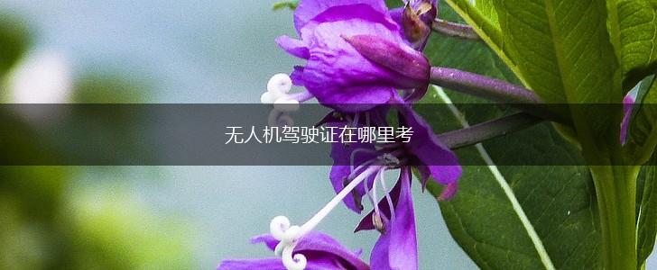 无人机驾驶证在哪里考,第1张