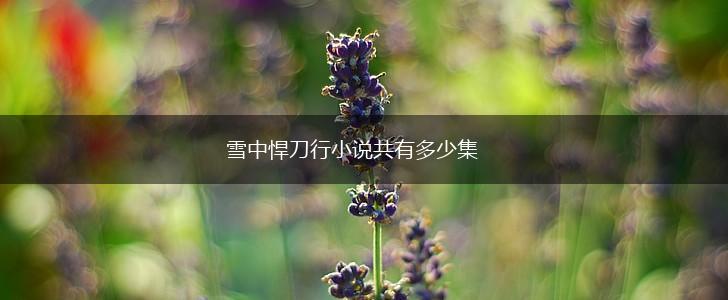 雪中悍刀行小说共有多少集,第1张