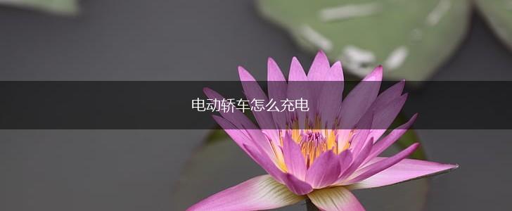 电动轿车怎么充电,第1张