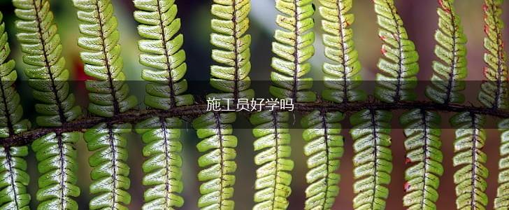 施工员好学吗,第1张