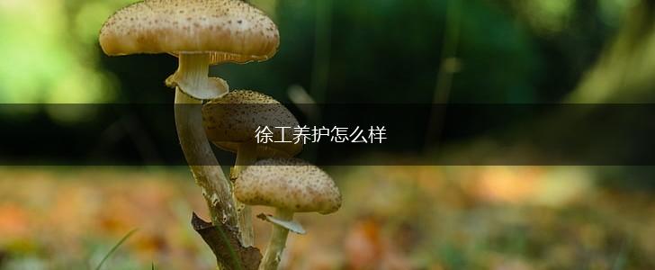 徐工养护怎么样,第1张
