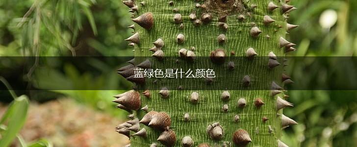 蓝绿色是什么颜色,第1张