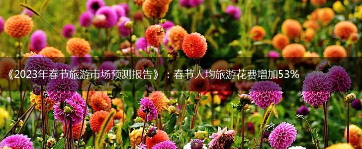 《2023年春节旅游市场预测报告》：春节人均旅游花费增加53%,第1张