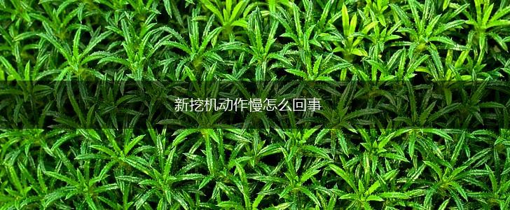 新挖机动作慢怎么回事,第1张