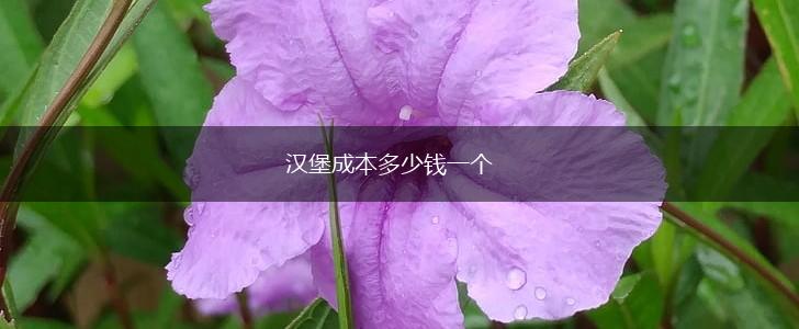 汉堡成本多少钱一个,第1张