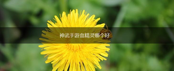 神武手游血精灵哪个好,第1张