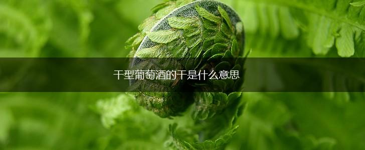 干型葡萄酒的干是什么意思,第1张