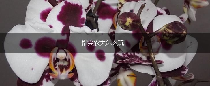 指尖农夫怎么玩,第1张